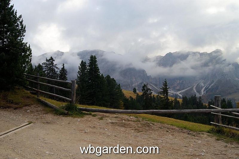 wbgarden alps 54.JPG